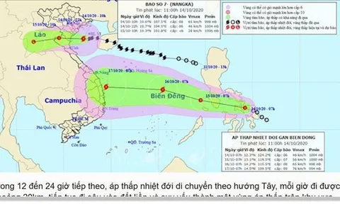 Áp thấp nhiệt đới mới có khả năng mạnh lên thành bão số 8